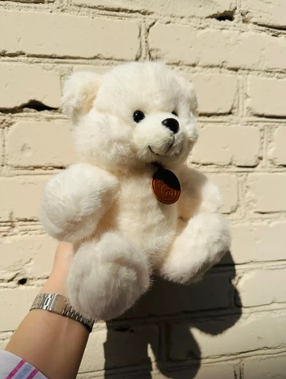 картинка Мягкая игрушка "Медведь" 23 см от магазина Одежда+