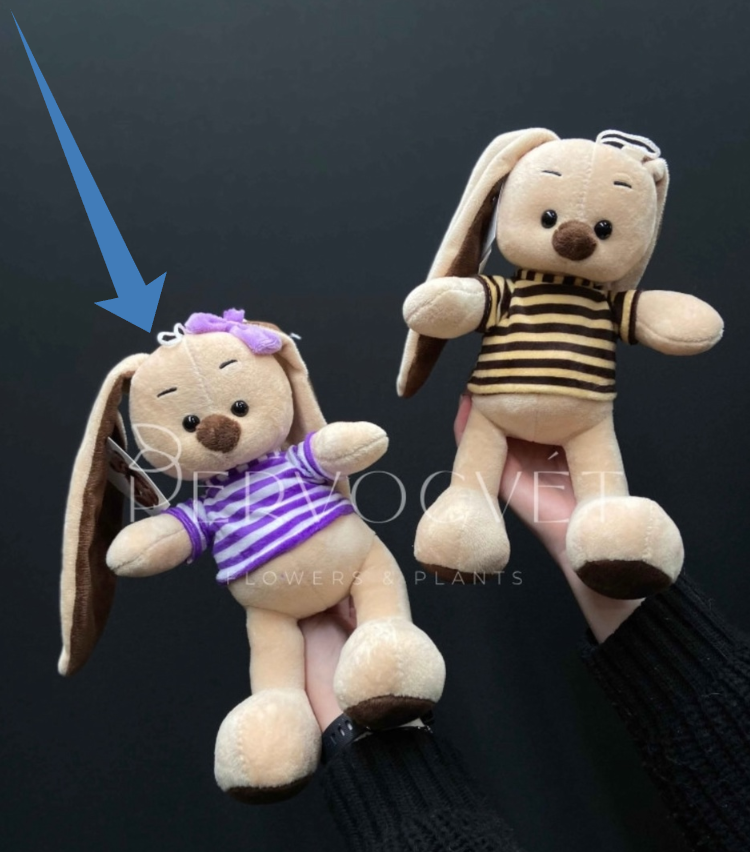 картинка Игрушка Заяц в футболке  28см от магазина Одежда+