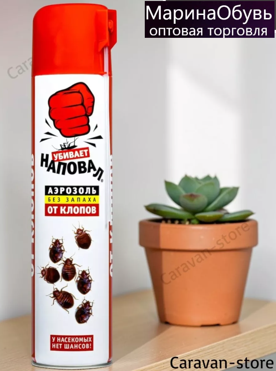 картинка Аэрозоль от клопов 200мл от магазина Одежда+
