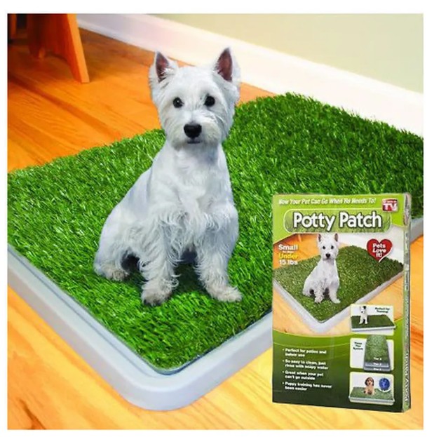 картинка Лоток - туалет для собак от магазина Одежда+