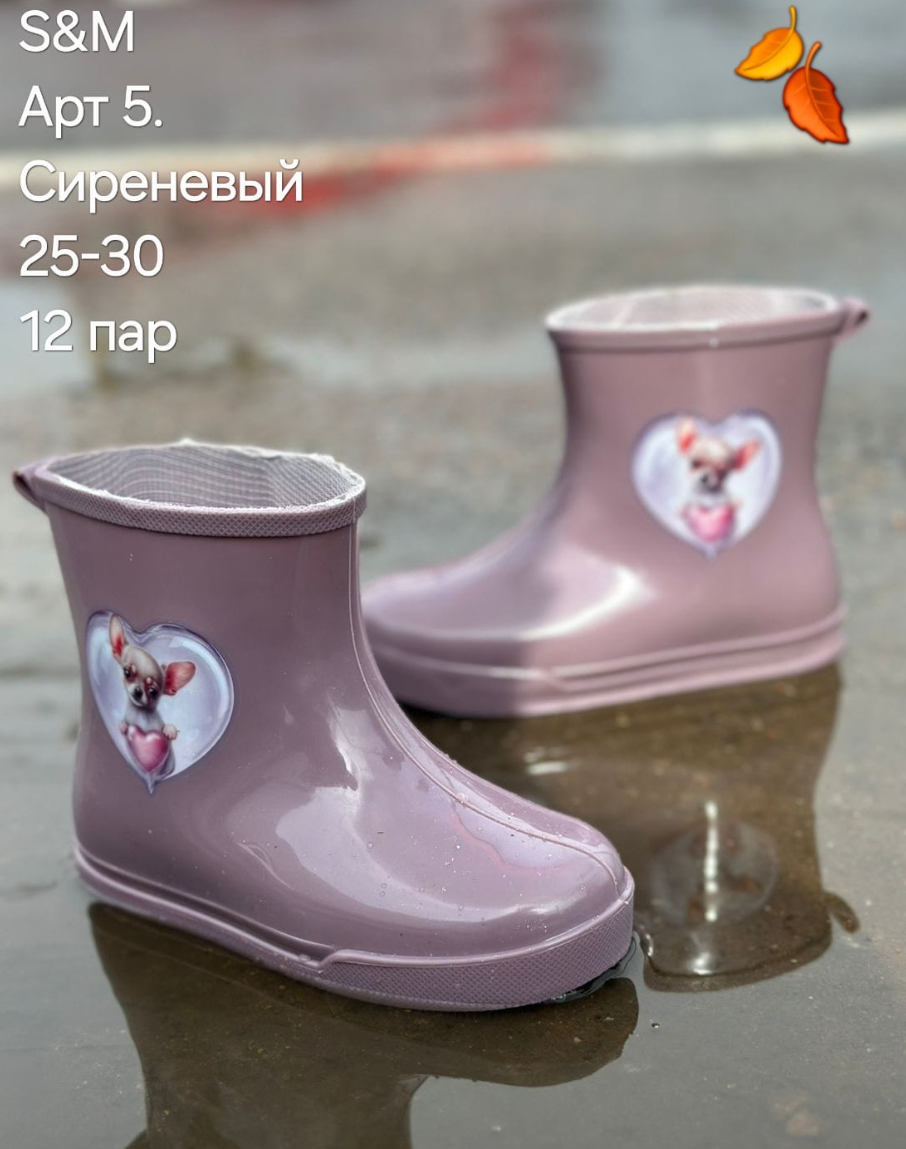 картинка осенние Резиновые сапоги для девочек от магазина Одежда+