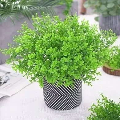 картинка Букет зелени от магазина Одежда+