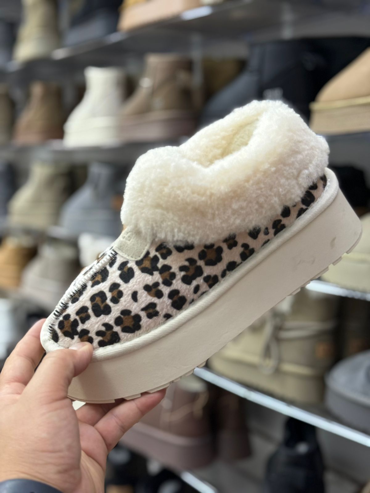 фото зимние женские угги оптом