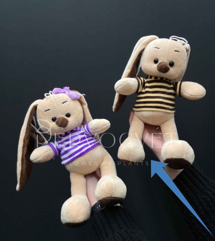 картинка Игрушка Заяц в футболке  28см от магазина Одежда+