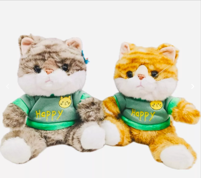 картинка Мягкая игрушка"Кот  в толстовке" 25 см от магазина Одежда+