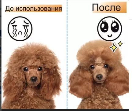 картинка Расческа для животных от магазина Одежда+