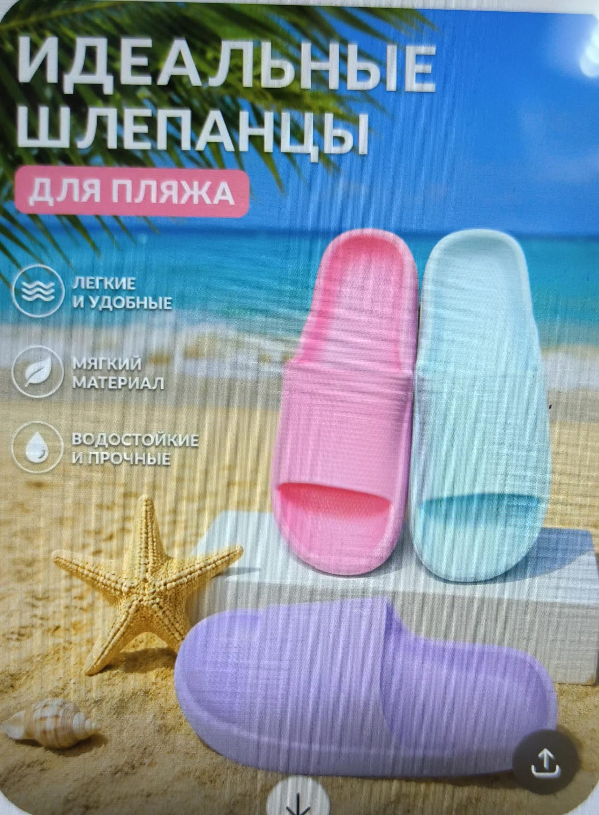 фото женские летние шлепанцы 793288 оптом
