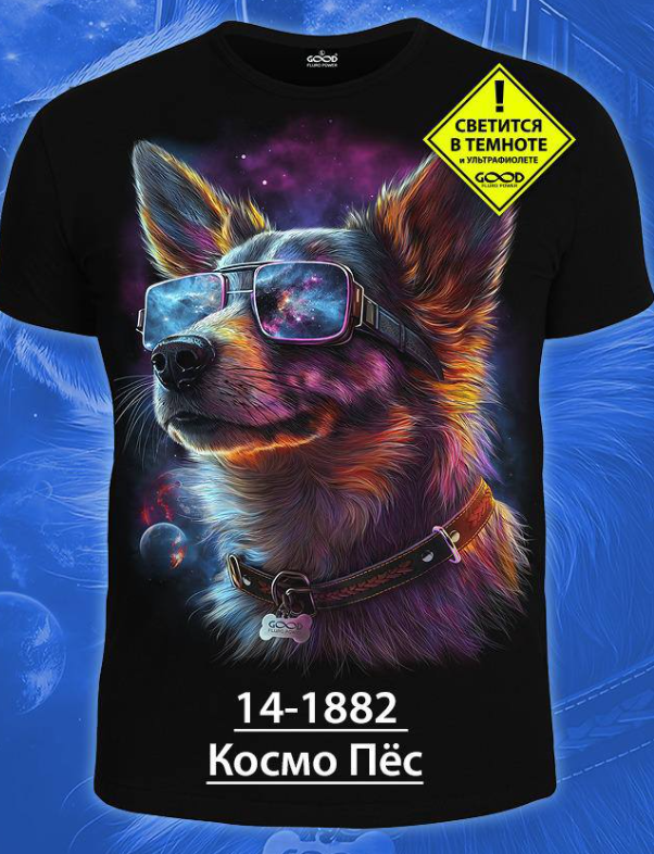 картинка Футболка от магазина Одежда+