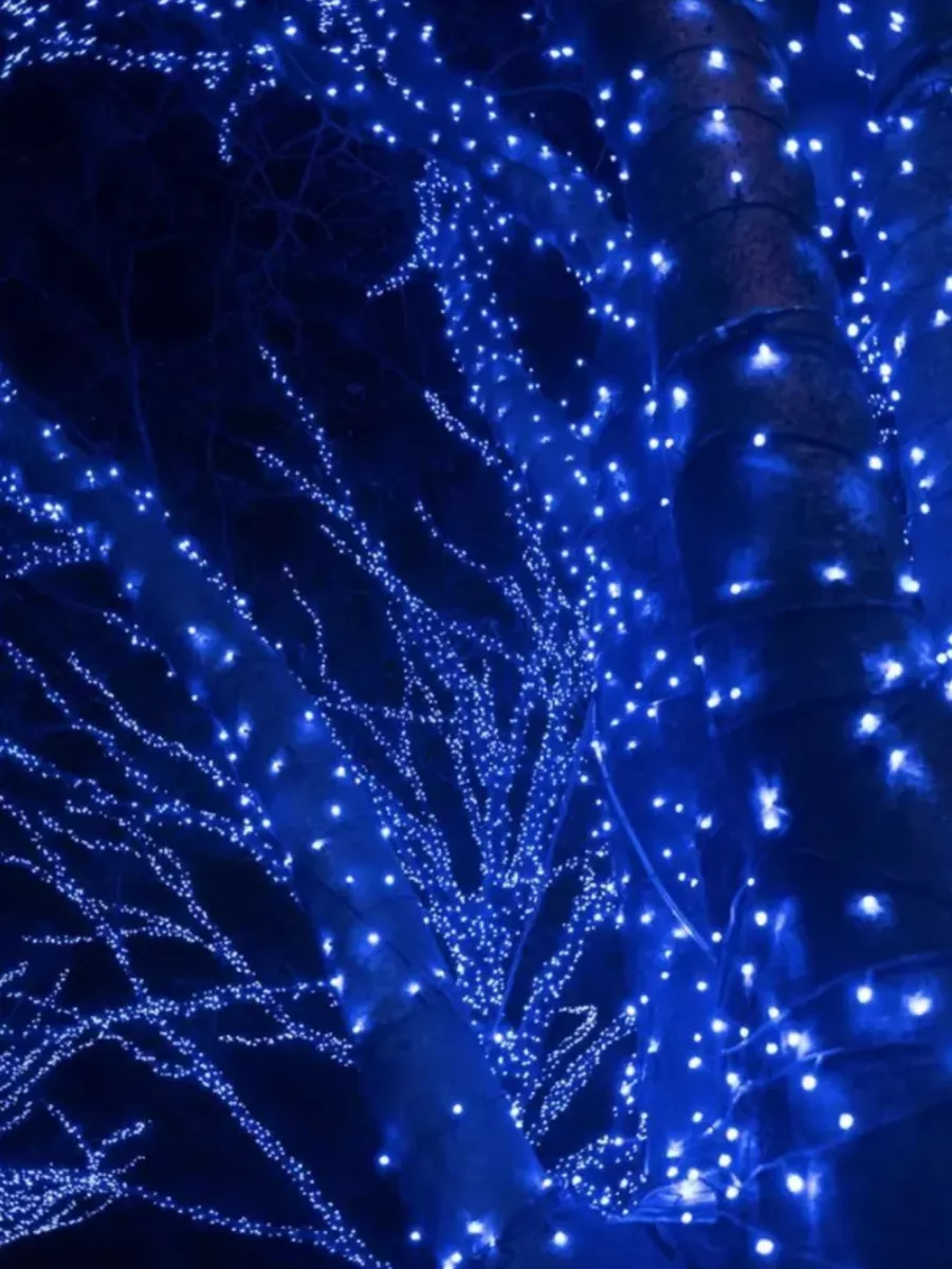 картинка Гирлянда уличная синяя 50 метров на катушке от магазина Одежда+