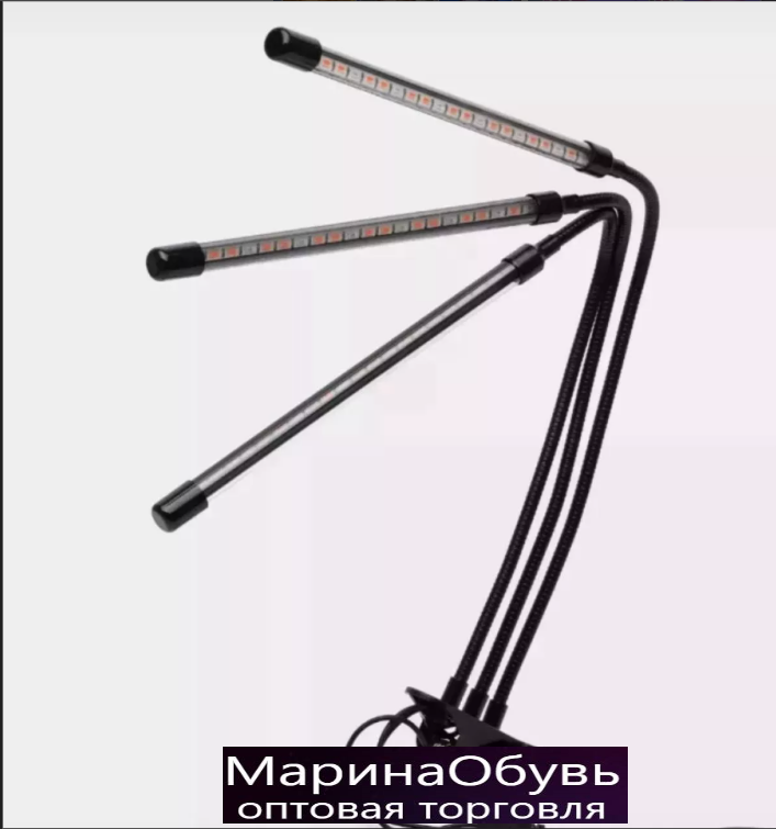 картинка Фотолампа от магазина Одежда+