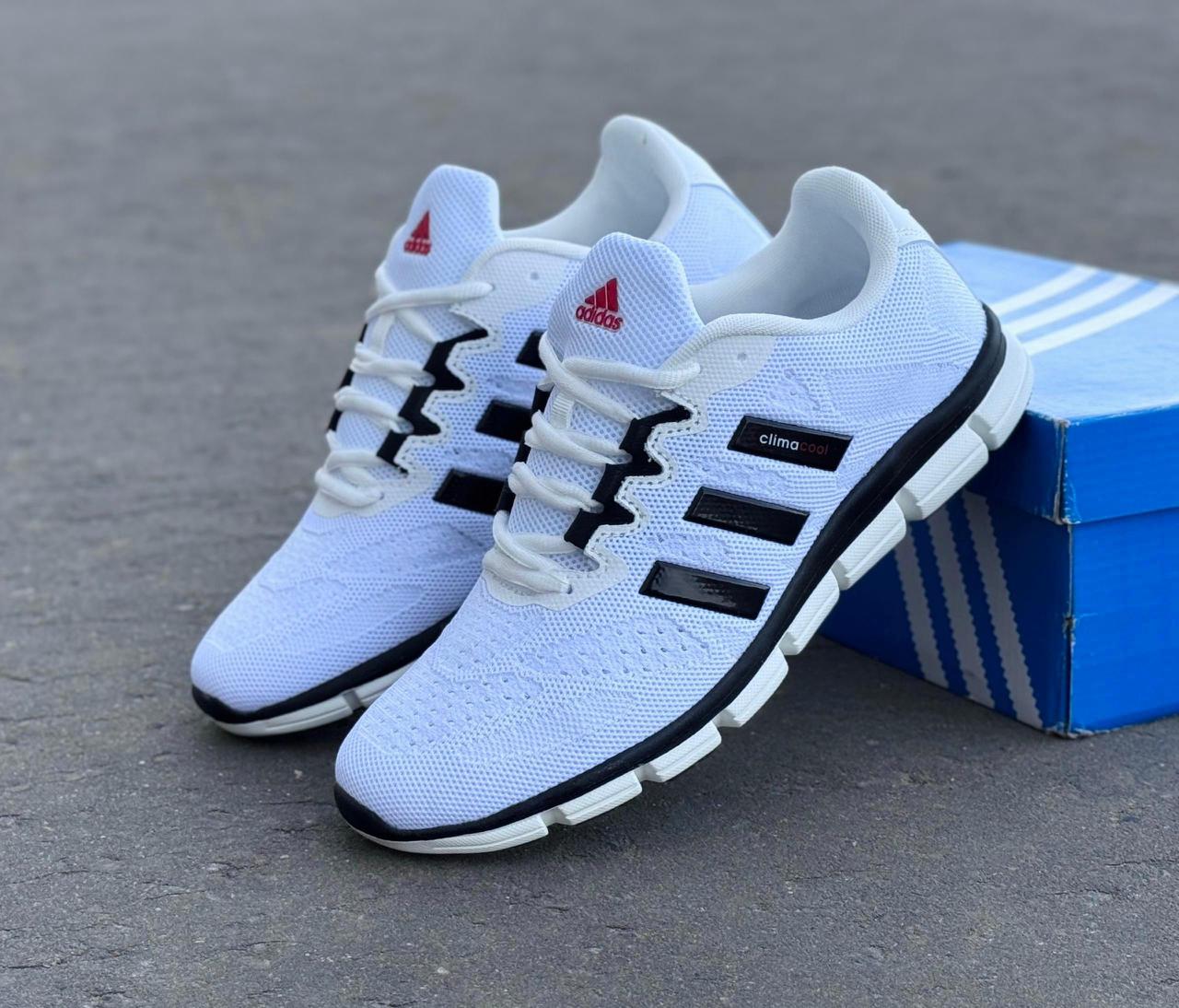 фото Мужские летние кроссовки Adidas 266241 оптом на лето для мужчин
