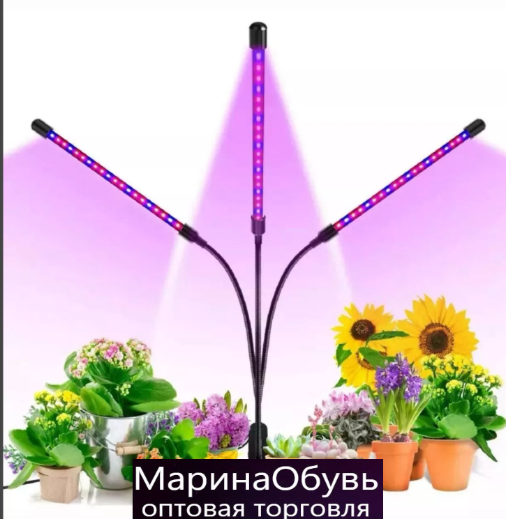 картинка Фотолампа от магазина Одежда+