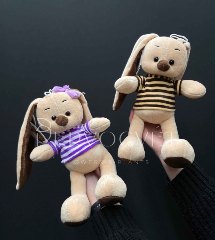 картинка Игрушка Заяц в футболке  28см без выбора от магазина Одежда+