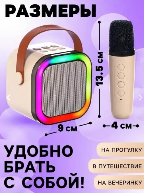 картинка Караоке колонка с двумя микрофонами от магазина Одежда+