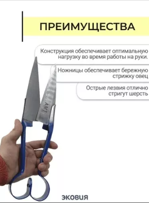 картинка Ножницы для стрижки овец 34 см от магазина Одежда+