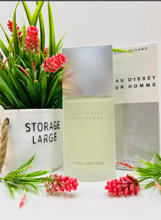 фото мужские духи 100мл оптом